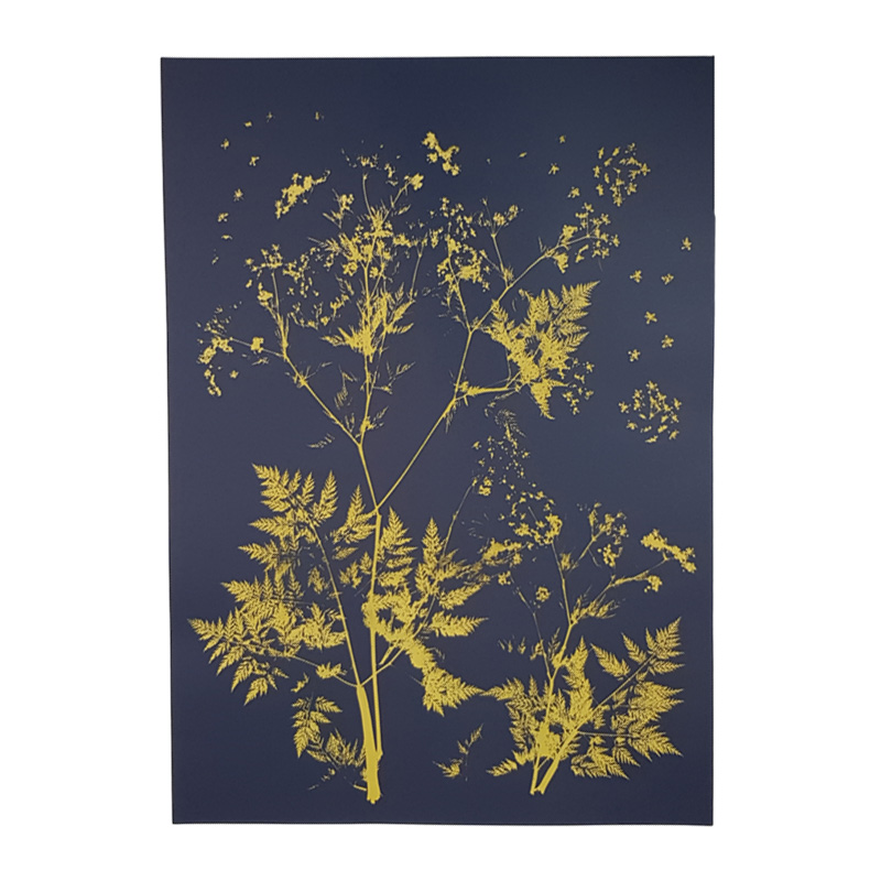 Kunstdruck: ANTHRISCUS  mysterious