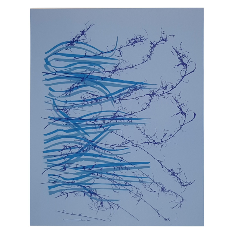 Kunstdruck: WASSERWIESE