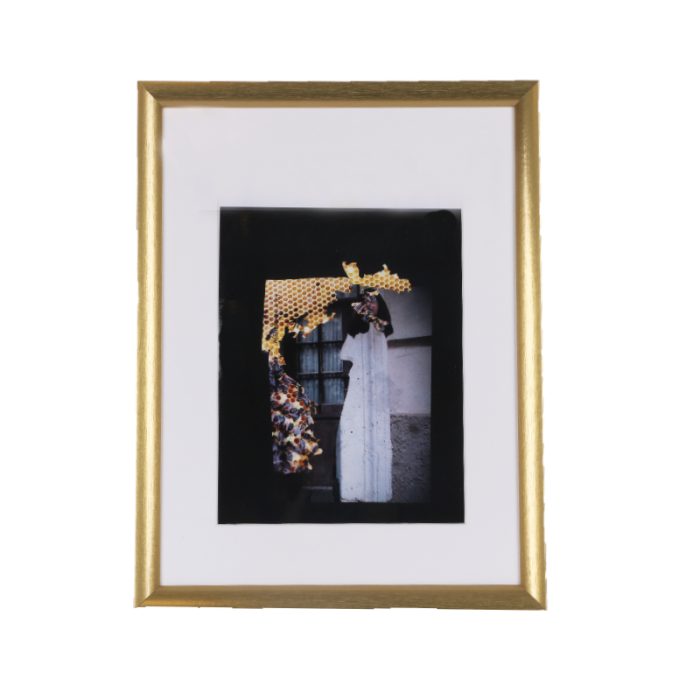 2100000109678_69d030b8efa911893f530bf573721f8a034f6d19