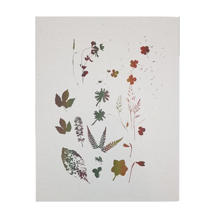 2100000128266_9346f3c64630d5692a4960ba25597496e48f8751