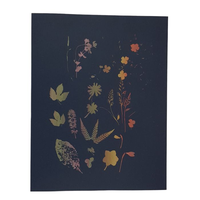 2100000128280_f55e12405b2c47cc3dae7d0dcd0e5aaeeeb3ded7