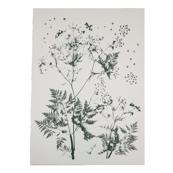 2100000128341_8f0f8c581902e16a96b9f9304514fe35944378e9