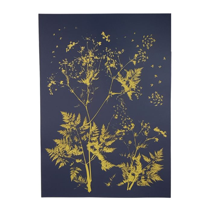 2100000128501_4dde198dc170192ca12fb27540def8eeef5d89a1