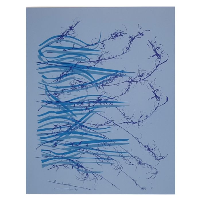 2100000128518_39d769b470668d45a3834e5f133eb6467d93ce3a