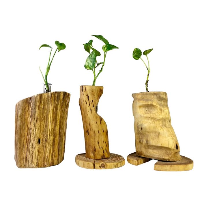 m2100000148769_2ba5bde7a0b885a5afcc80905067409d8c738589