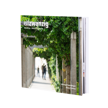 2100000016716_fd42d6eca33a17f830c0260c30819d62674787b3