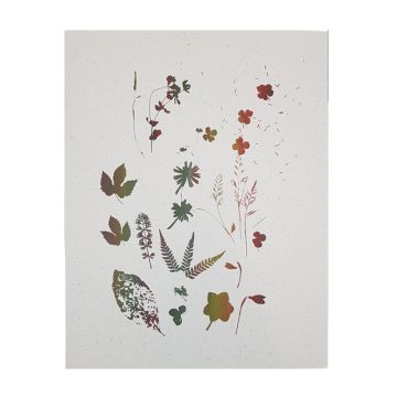 2100000128266_9346f3c64630d5692a4960ba25597496e48f8751