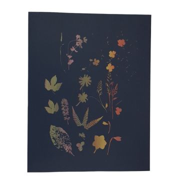 2100000128280_f55e12405b2c47cc3dae7d0dcd0e5aaeeeb3ded7