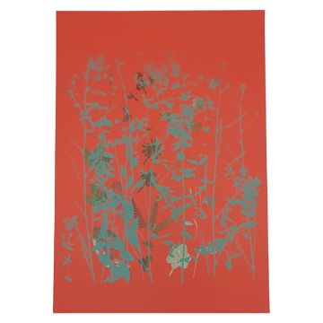 2100000128303_512dd253649dd35f54c9de6a3b0b97747ec3ee23