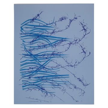 2100000128518_39d769b470668d45a3834e5f133eb6467d93ce3a