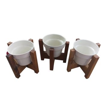 2100000157686_8b71b52824a2fb9390615a8aad550bad78f707e7