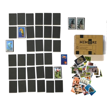 m2100000129331_9618105090459ae7f3de2753942e34c21a37af91